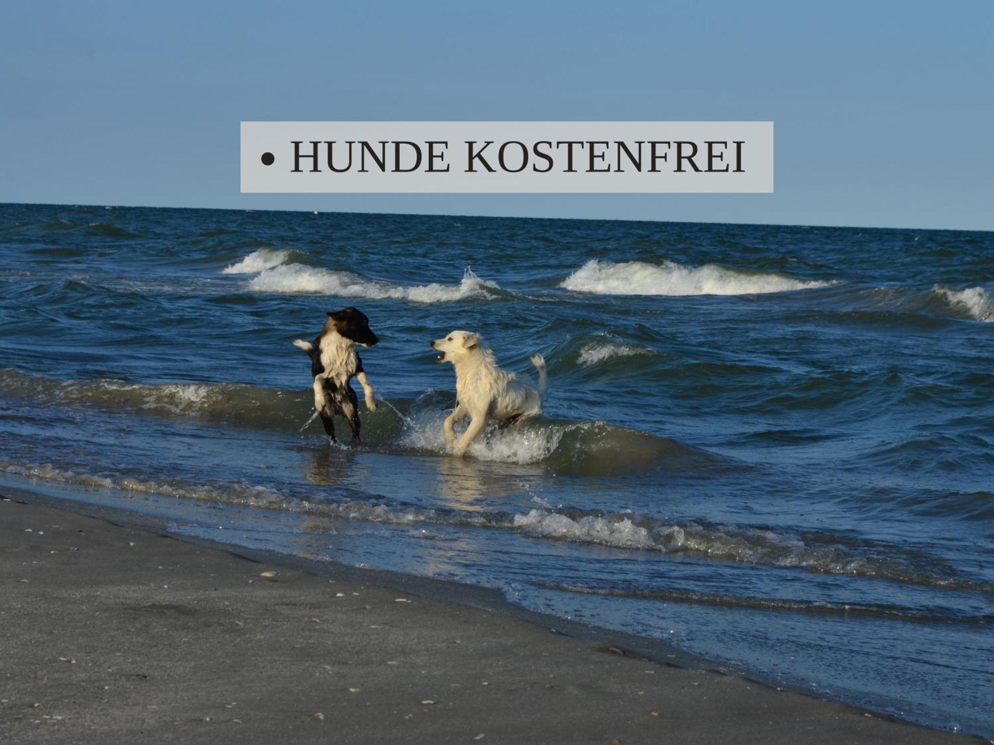 Haus Krabbe Apartments, Zentral Gelegen Im Idyllischen Nordseeort Zwischen Bremerhaven Und Cuxhaven, Hunde Kostenfrei Willkommen, Hauseigene Kostenfreie Parkplaetze Времен Екстериор снимка